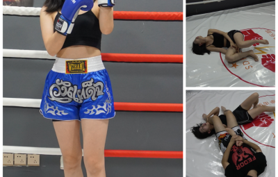 SD-F026-anan vs hawk